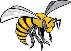 Shop Alabama State Hornets Flags