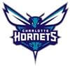 Charlotte Hornets Flags NBA