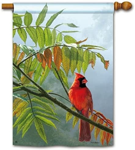 Redbird Flag 2 Sided Vertical House Banner Fall 95742 Heartland Flags