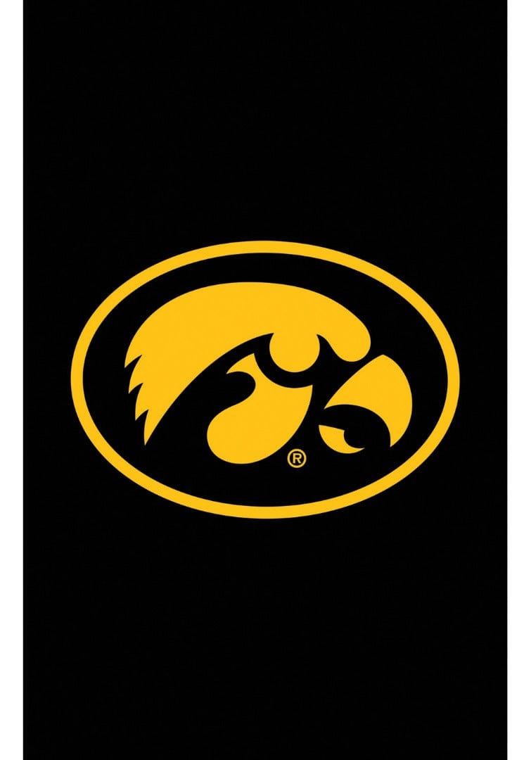 University of Iowa Banner 2 Sided Applique Flag heartlandflags