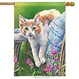 Kitty Cool Down Flag 2 Sided Decorative Banner heartlandflags
