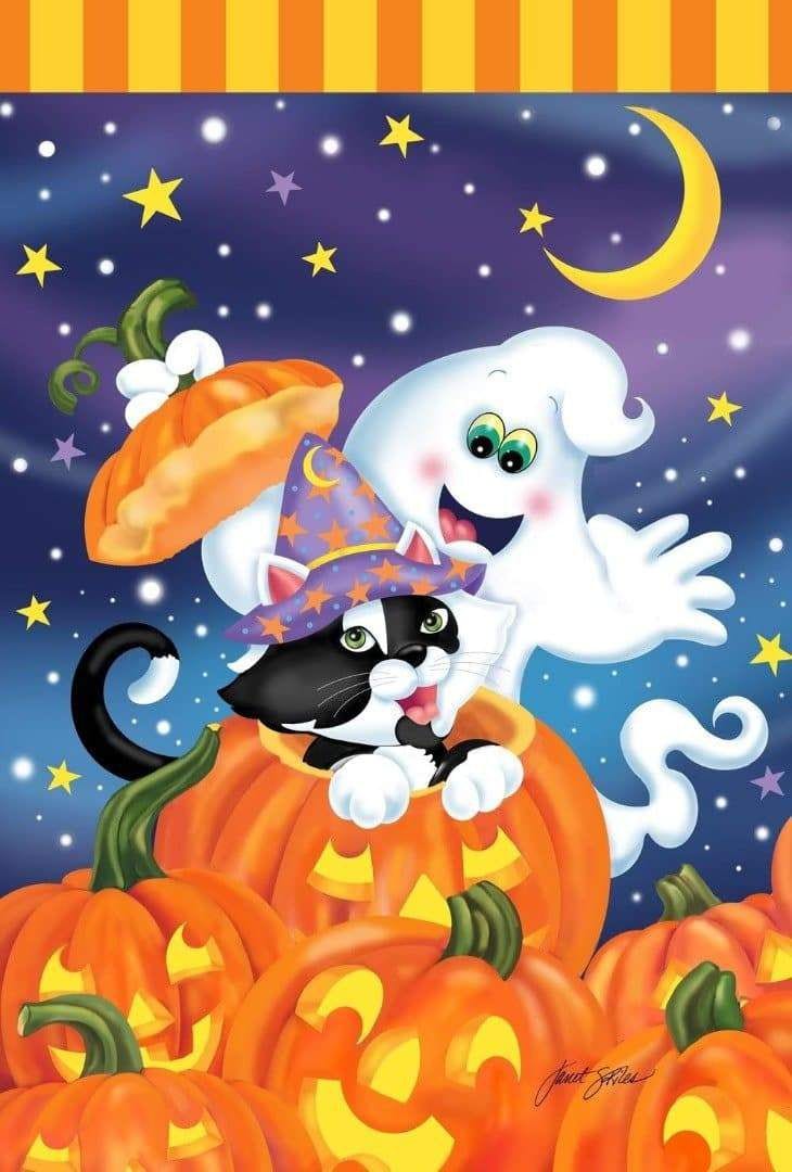 Witch Kitty Flag 2 Sided Halloween Decorative Banner heartlandflags